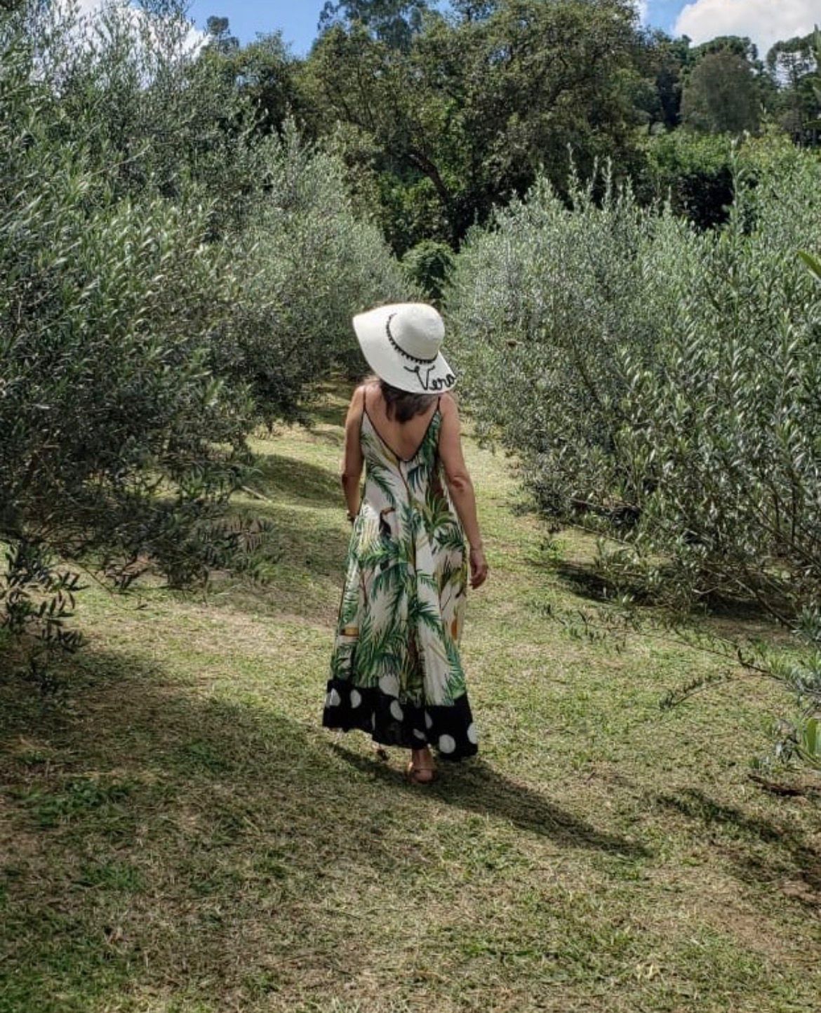 Entre Oliveiras e Encantos da Bocaina