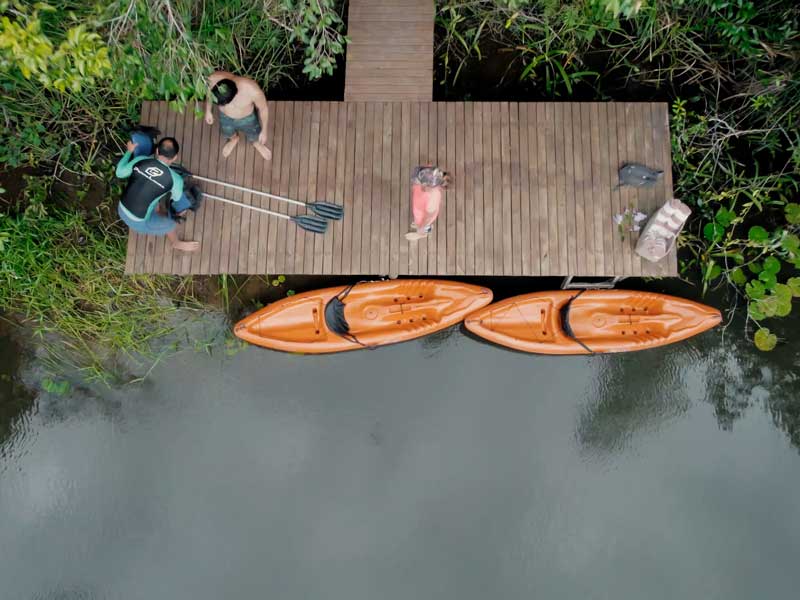 Trilha e Banho de Rio – Natureza ao Seu Alcance