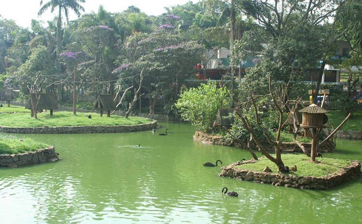 Parque Zoológico de São Paulo - 19,9 km do hotel